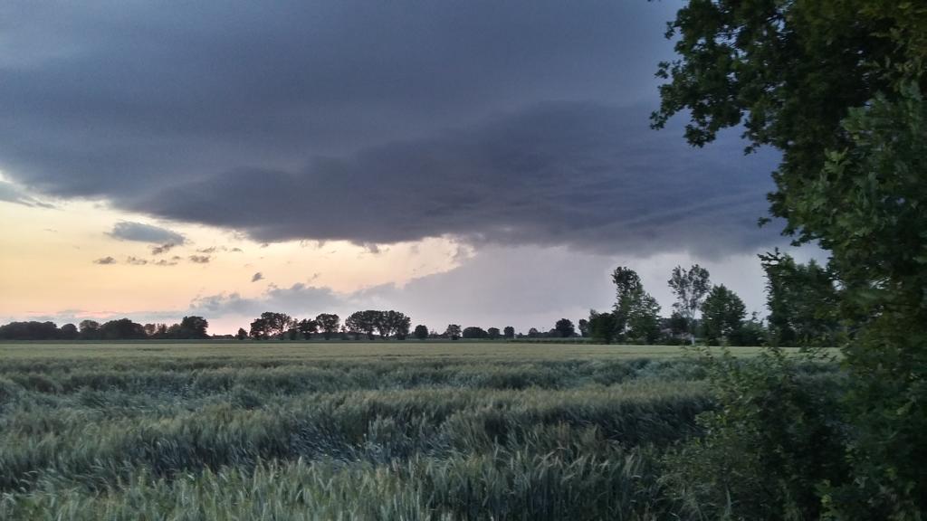 فيلا ريجّولوفي Agriturismo Boschi المظهر الخارجي الصورة