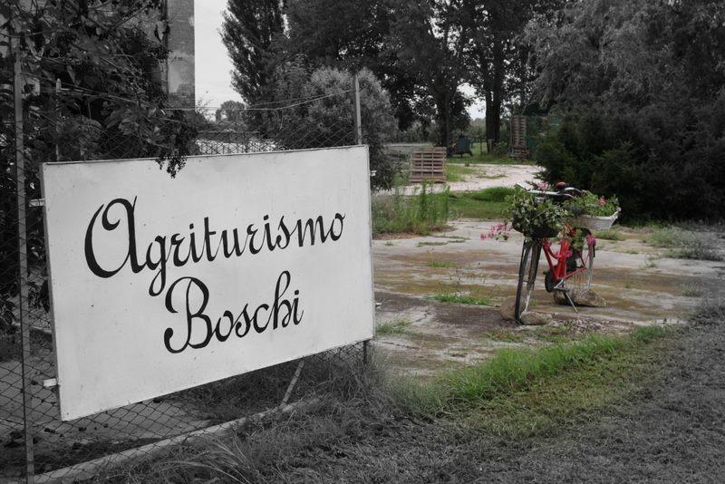 فيلا ريجّولوفي Agriturismo Boschi المظهر الخارجي الصورة